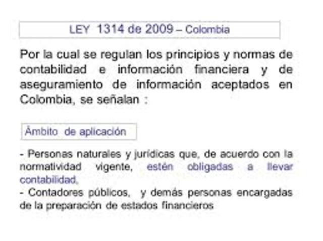 Se emitio la ley 1314