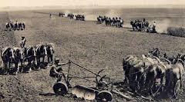 The Nationality and Citizenship Act