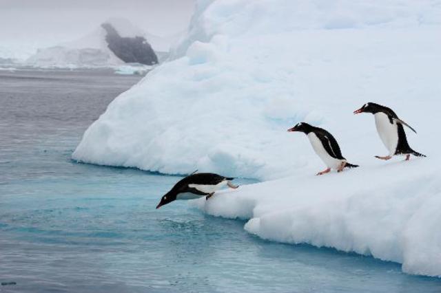 Another journey: Risk taker