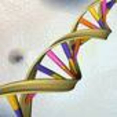 DNA First Used to Convict Criminals