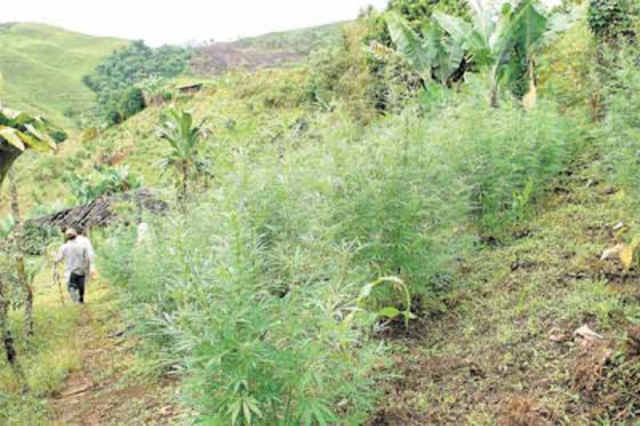 La Bonanza Marimbera