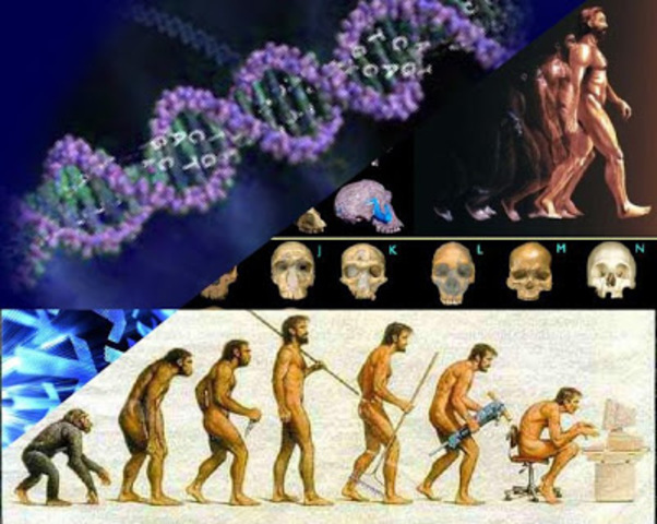 Teoría de la Evolución