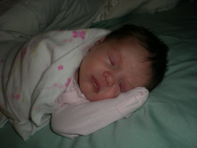 Tessa Arrives!  (Kelly)