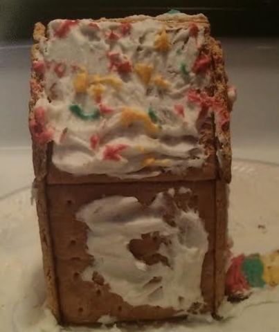 My first ginger bread house.