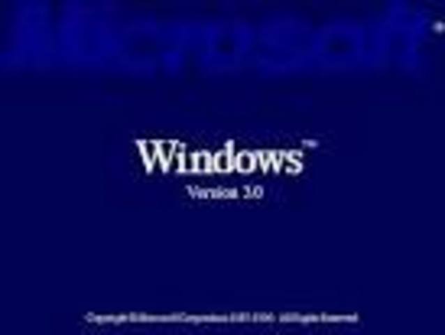Windows 3.0