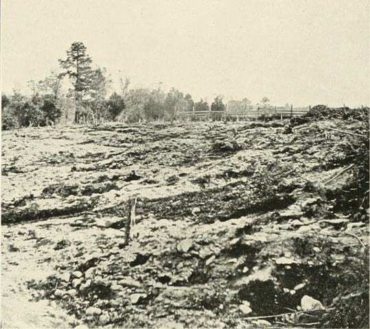 Cold Harbor's Chilling Results