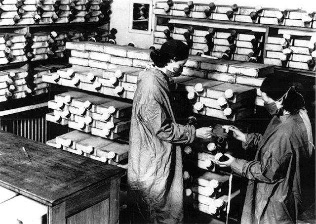 Penicillin is Distributed