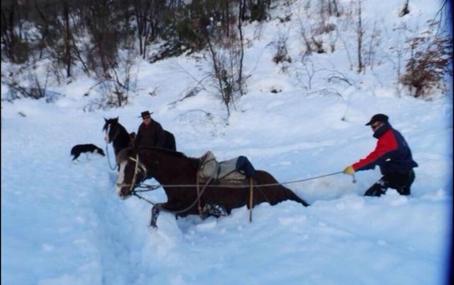 The help comes of the village.