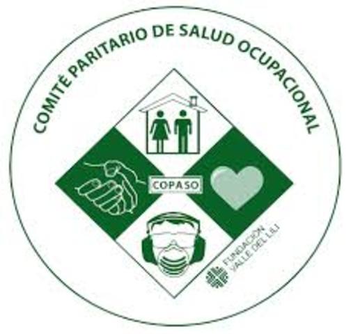 comite nacional de la salud ocupacional