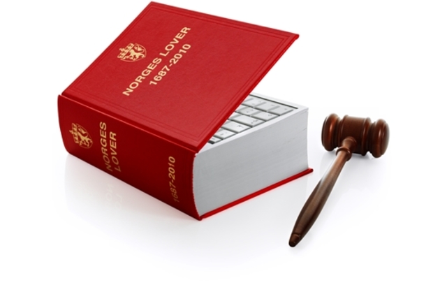 Stortinget vedtar en lov