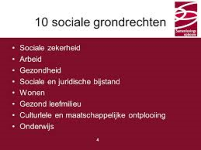 Sociale gronrechten in grondwet