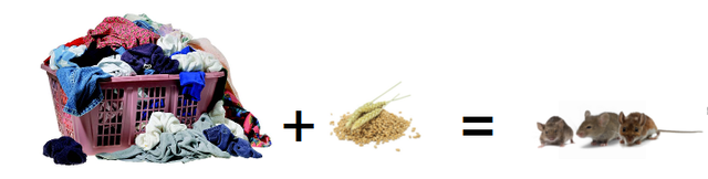 Jean Baptiste Van Helmont