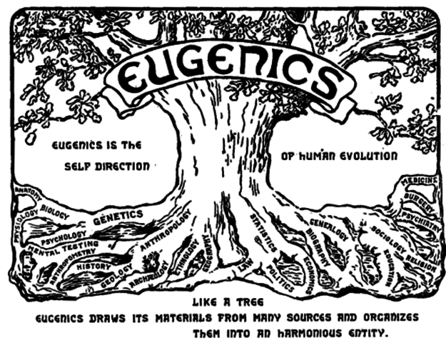 The "Threat of the Feeble Minded" (pamphlet) was published