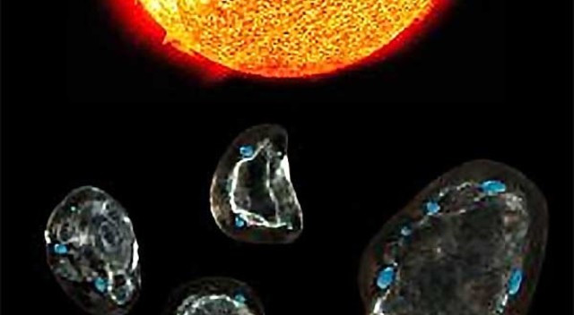 ORIGEN DE LOS PRECURSOS ORGÁNICOS