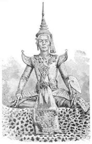 Siamese King attacks.