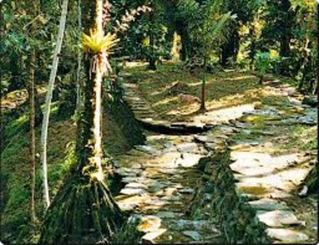 Primeras manifestaciones de narcotráfico