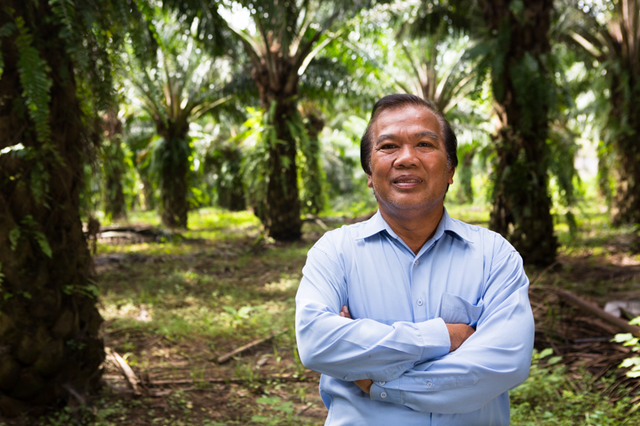 Western Companies Disinterested in Sustainable Palm Oil Production