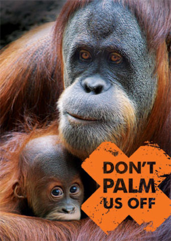Estimated Extinction Date of Orangutans if Current Palm Oil Production Methods Continue.