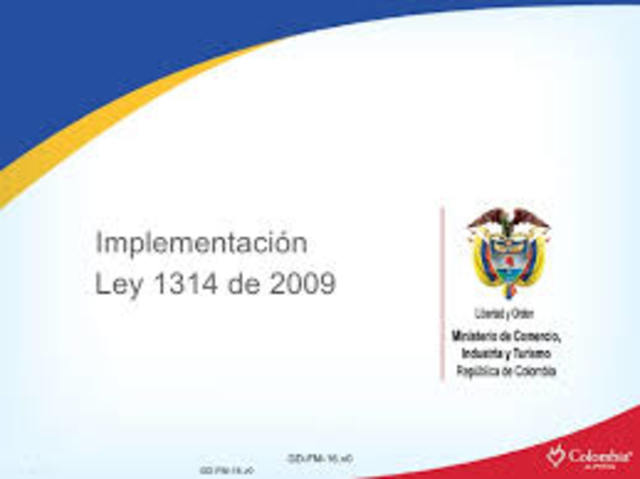 Ley 1314