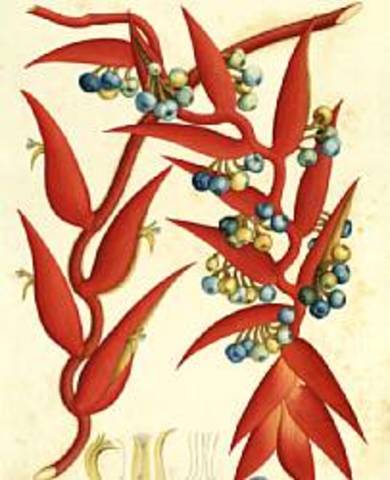 Expedición de Mutis