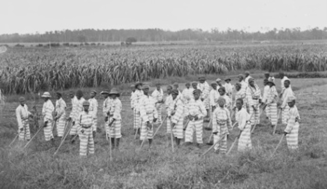 States Begin to Pass Black Codes