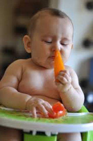 Importancia ablactación