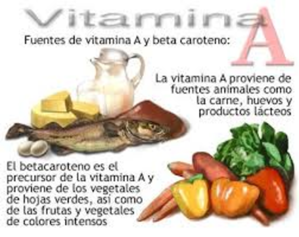 alimentos a los 6 m