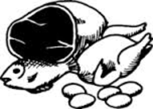 Alimentación 8° mes