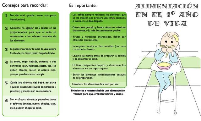 Alimentación al 1er año de vida