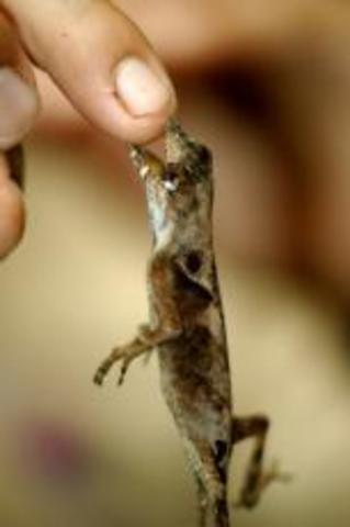 Rumbo al Ecuador: de Quito al Amazonas