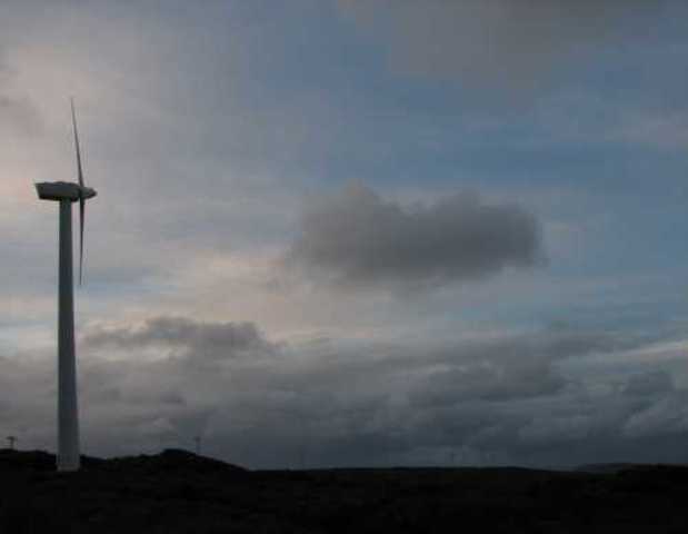 Wind Farm Built in Ten Mile Lagoon