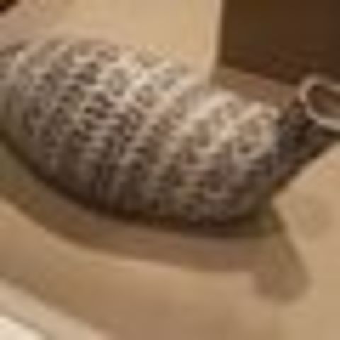 Untitled Photo Eight