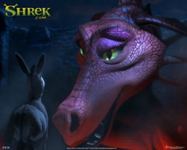 O casamento do Dragão e o Burro