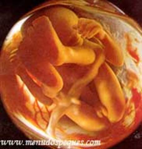 Semana 26 a 29 de embarazo