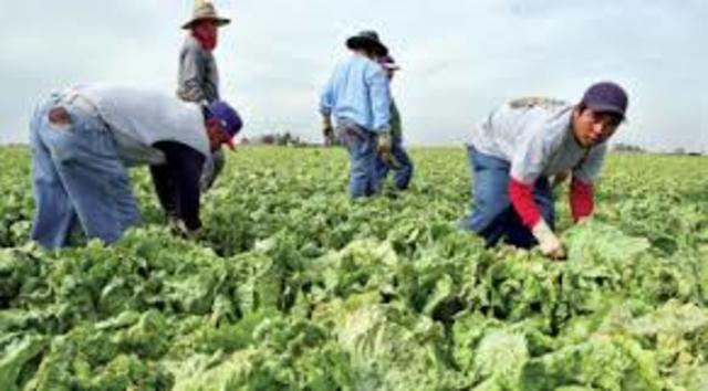 The Immigration Reform and Control Act