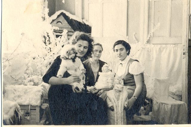 Вечерняя школа