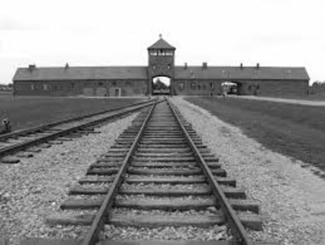 Auschwitz Opens