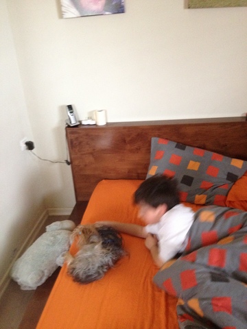 קיבלתי את טוי