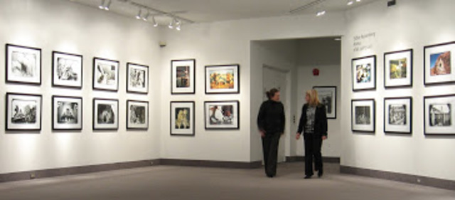 Begin volunter work at the Elgin Public Art Gallery