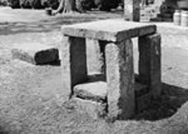 The First Slaves in America