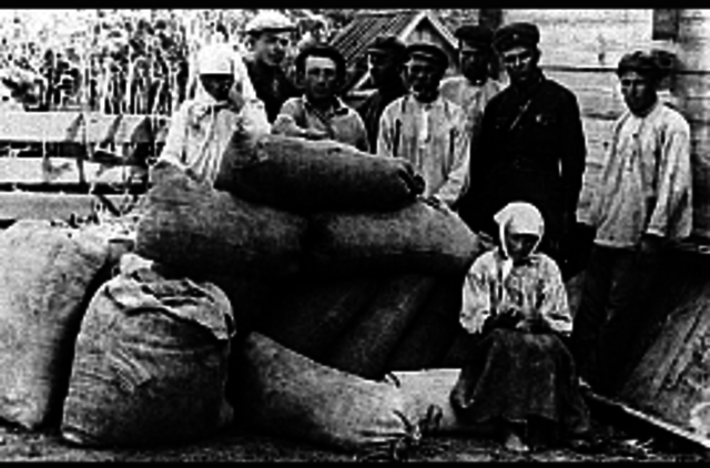 Collectivization Begins