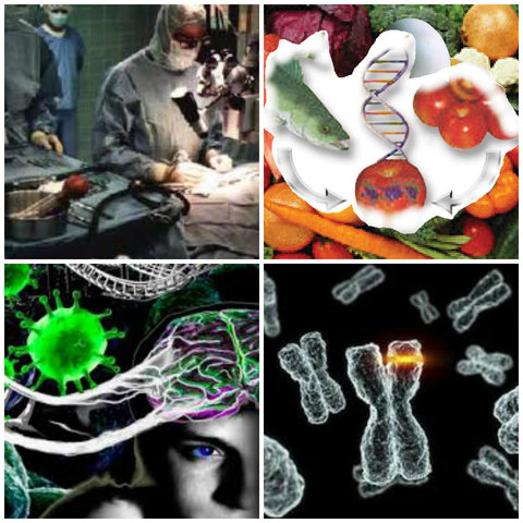 SE ESTIMA QUE LA POBLACION AUMENTARA A 10 000 MILLONES DE HABITANTES