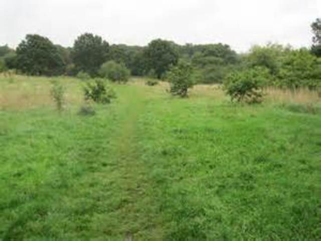 They get ready for war.