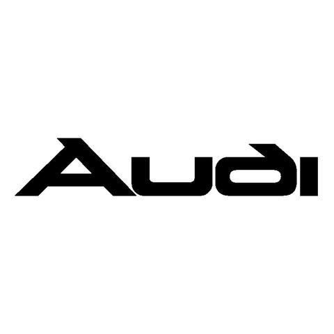 Audi Temporarily Retires