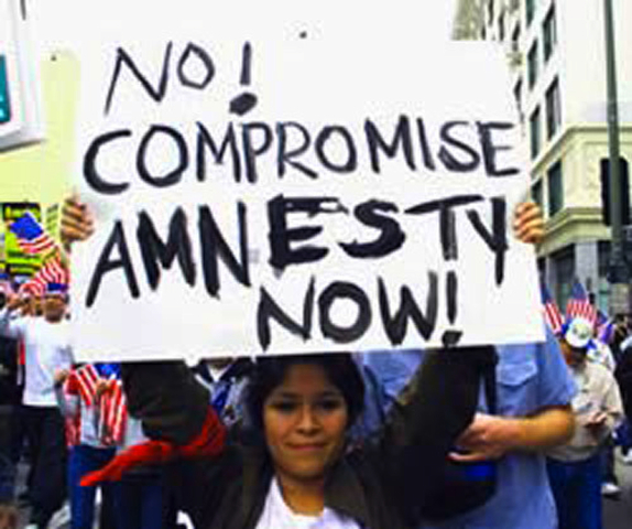 President Obama's Amnesty Order