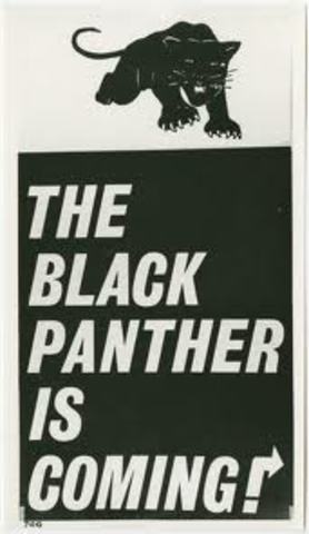 Black Power and Black Panthers