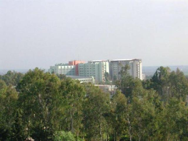 the Faculty of Medicine