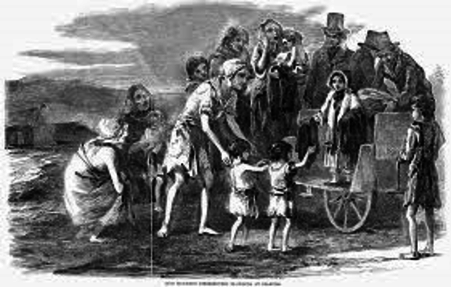 Potato Famine