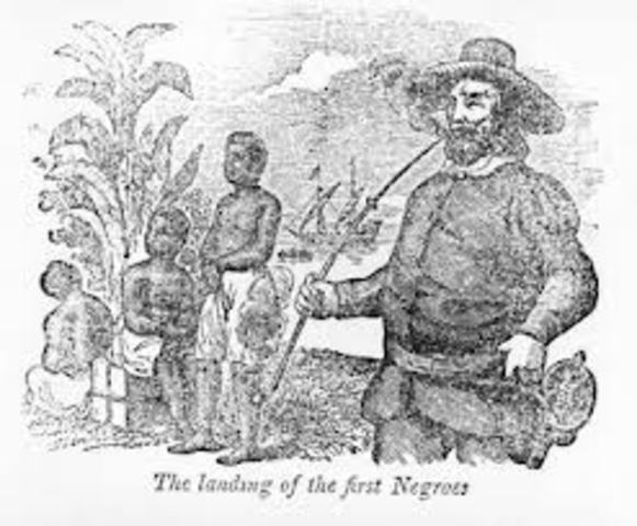 African American Slaves are first brought to the United States in Jamestown, Virgina.