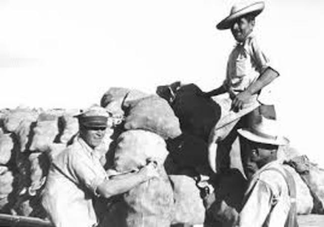 Hiring of Mexican farmers